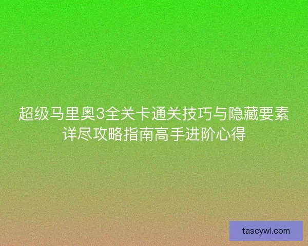 超级马里奥3全关卡通关技巧与隐藏要素详尽攻略指南高手进阶心得